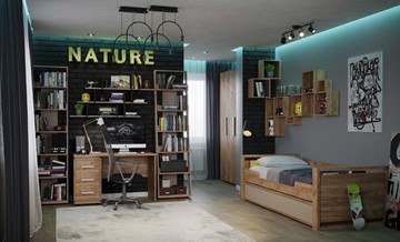 Комната для девочки Nature в Петрозаводске