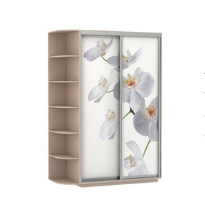 Шкаф 2-дверный Экспресс 1500x600x2200, со стеллажом, Орхидея белая/дуб молочный в Петрозаводске