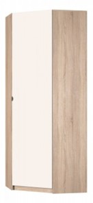 Угловой шкаф распашной Реал (YR-230х884-TR (9)-М Вар.2), без зеркала в Петрозаводске