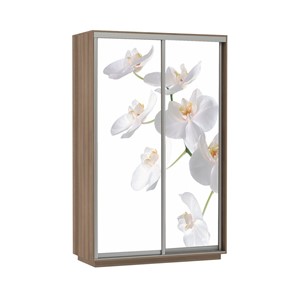 Шкаф двухдверный Экспресс 1600x600x2400, Орхидея белая/шимо темный в Петрозаводске