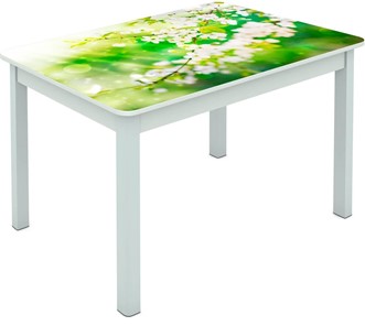 Обеденный стол Мюнхен исп. 2 ноги метал. крашеные №23 Фотопечать (Цветы №45) в Петрозаводске