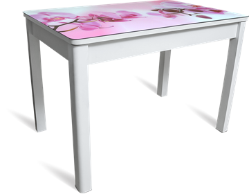 Кухонный раскладной стол Айсберг-01 СТФ, белое лдсп/орхидея/40 прямые массив белые в Петрозаводске