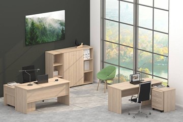 Комплект офисной мебели Twin в Петрозаводске - предосмотр 4
