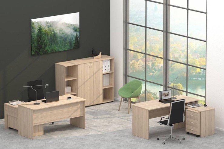 Комплект офисной мебели Twin в Петрозаводске - изображение 4