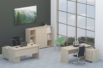 Мебель для персонала Twin для 2 сотрудников со шкафом для документов в Петрозаводске