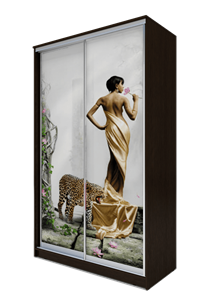 Шкаф 2400х1200х620, Девушка с леопардом ХИТ 24-12-77-03 Венге Аруба в Петрозаводске
