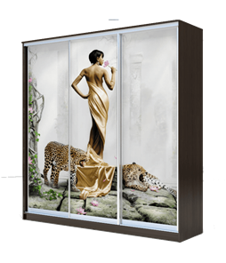 Шкаф 3-х створчатый 2300х2000х620, наполнение №2, Девушка с леопардом ХИТ 23-20-777-03 Венге Аруба в Петрозаводске
