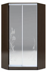 Шкаф 2400х1103, ХИТ У-24-4-66-01, цапля, 2 зеркалами, венге в Петрозаводске
