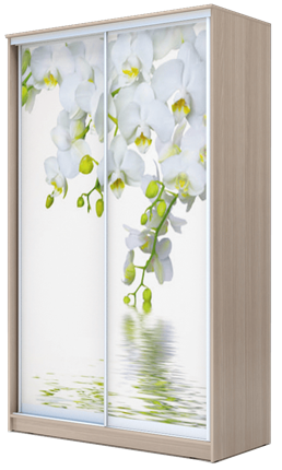 Шкаф 2400х1682х620, Белая Орхидея ХИТ 24-17-77-05 Ясень Шимо Светлый в Петрозаводске - изображение