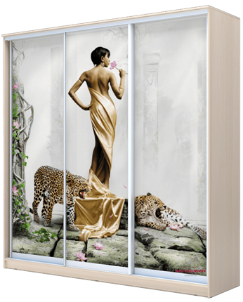 Шкаф 2300х2000х620, наполнение №1, Девушка с леопардом ХИТ 23-20-777-03 Дуб Млечный в Петрозаводске - изображение