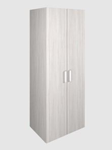 Шкаф для офиса для одежды 2-дверный арт.119.1, ЛДСП Ясень шимо светлый в Петрозаводске