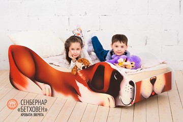 Кровать детская Сенбернар-Бетховен в Петрозаводске - предосмотр 3