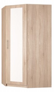 Распашной шкаф угловой Реал (YR-198х1034 (7)-М, Вар.3), с зеркалом в Петрозаводске - предосмотр