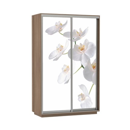 Шкаф 2-дверный Экспресс 1200x600x2200, Орхидея белая/шимо темный в Петрозаводске - изображение