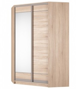 Угловой шкаф Аларти (YA-230х1400(602) (10) Вар. 5; двери D1+D2), с зеркалом в Петрозаводске - предосмотр