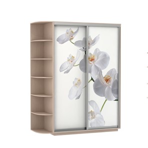 Шкаф 2-х створчатый Экспресс 1900x600x2200, со стеллажом, Орхидея белая/дуб молочный в Петрозаводске