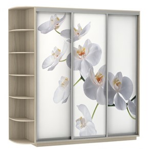Шкаф 3-створчатый Экспресс со стеллажом, 2400х600х2400, Орхидея белая/шимо светлый в Петрозаводске