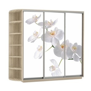 Шкаф 3-дверный Экспресс со стеллажом, 2700х600х2200, Орхидея белая/дуб сонома в Петрозаводске - предосмотр