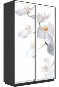 Шкаф 2-х створчатый Экспресс 1200x450x2200, Орхидея белая/серый диамант в Петрозаводске