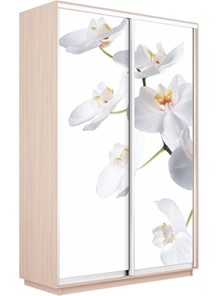 Шкаф 2-х дверный Экспресс 1200x600x2200, Орхидея белая/дуб молочный в Петрозаводске