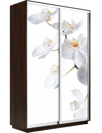 Шкаф-купе двухдверный Экспресс 1200x600x2200, Орхидея белая/венге в Петрозаводске - изображение