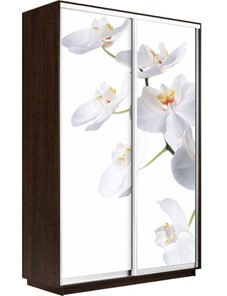 Шкаф 2-створчатый Экспресс 1200x600x2400, Орхидея белая/венге в Петрозаводске - предосмотр