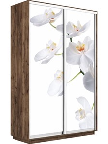 Шкаф 2-створчатый Экспресс 1400x600x2200, Орхидея белая/дуб табачный в Петрозаводске - предосмотр