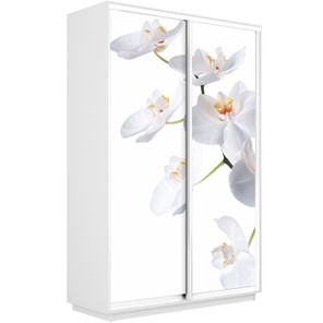 Шкаф 2-х створчатый Экспресс 1600x450x2400, Орхидея белая/белый снег в Петрозаводске