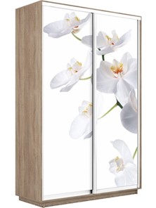 Шкаф 2-створчатый Экспресс 1600x450x2400, Орхидея белая/дуб сонома в Петрозаводске - предосмотр