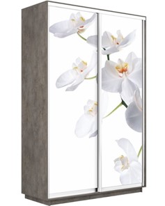 Шкаф 2-створчатый Экспресс 1600x600x2200, Орхидея белая/бетон в Петрозаводске