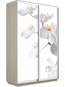 Шкаф Экспресс 1600x600x2400, Орхидея белая/шимо светлый в Петрозаводске - предосмотр