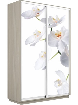 Шкаф Экспресс 1600x600x2400, Орхидея белая/шимо светлый в Петрозаводске - изображение