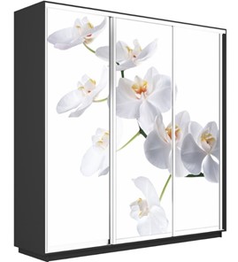 Шкаф 3-створчатый Экспресс 1800х450х2400, Орхидея белая/серый диамант в Петрозаводске