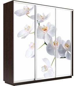 Шкаф трехдверный Экспресс 1800х450х2400, Орхидея белая/венге в Петрозаводске