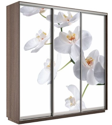 Шкаф 3-дверный Экспресс 1800х600х2200, Орхидея бела/шимо темный в Петрозаводске - изображение