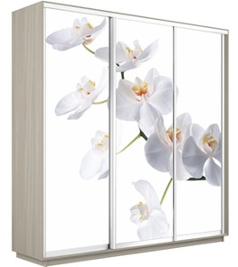 Шкаф 3-х дверный Экспресс 1800х600х2200, Орхидея белая/шимо светлый в Петрозаводске - предосмотр