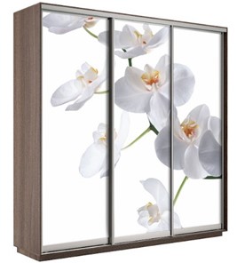 Шкаф 3-х створчатый Экспресс 1800х600х2400, Орхидея белая/шимо темный в Петрозаводске
