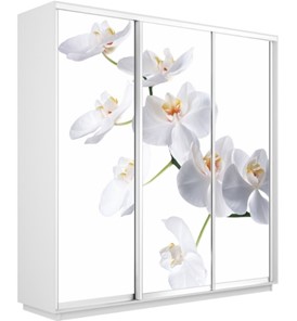 Шкаф 3-х дверный Экспресс 2100х450х2200, Орхидея белая/белый снег в Петрозаводске - предосмотр