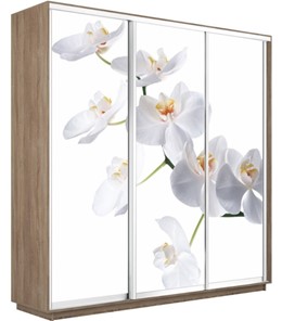 Шкаф 3-дверный Экспресс 2100х600х2200, Орхидея белая/дуб сонома в Петрозаводске - предосмотр