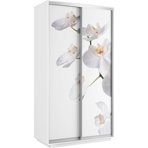 Шкаф 2-х дверный Хит 1200x600x2200, белая орхидея, белый снег в Петрозаводске - предосмотр