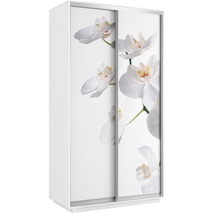 Шкаф 2-х дверный Хит 1200x600x2200, белая орхидея, белый снег в Петрозаводске - изображение