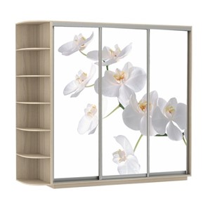 Шкаф трехдверный Экспресс со стеллажом, 2400х600х2200, Орхидея белая/шимо светлый в Петрозаводске - предосмотр