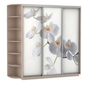 Шкаф Экспресс со стеллажом, 2400х600х2400, Орхидея белая/дуб молочный в Петрозаводске