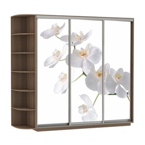 Шкаф 3-дверный Экспресс со стеллажом, 2400х600х2200, Орхидея белая/шимо темный в Петрозаводске - предосмотр