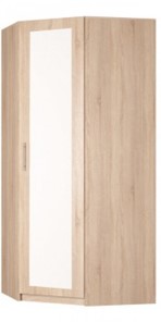 Угловой шкаф распашной Реал (YR-230х1034 (3)-М Вар.4), с зеркалом в Петрозаводске - предосмотр