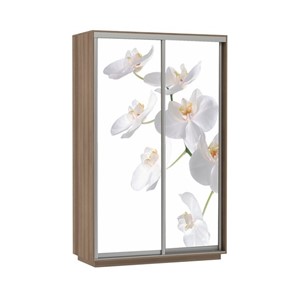 Шкаф 2-х створчатый Экспресс 1600x600x2200, Орхидея белая/шимо темный в Петрозаводске