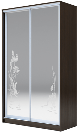 Шкаф 2-х дверный 2200х1200х420 два зеркала, "Цапли" ХИТ 22-4-12-66-01 Венге Аруба в Петрозаводске - изображение