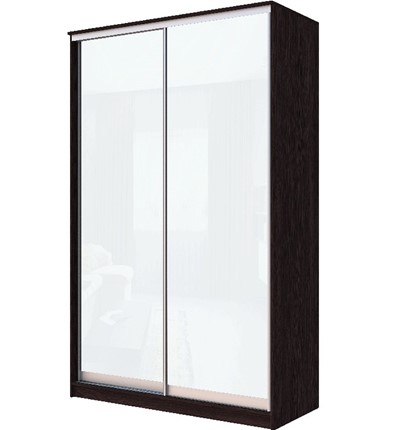 Шкаф двухдверный Хит-22-12-22 с цветным стеклом, белое №10, Венге в Петрозаводске - изображение