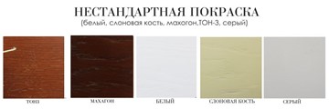 Обеденный стол Соло плюс 140х80, (покраска 2 тип) в Петрозаводске - предосмотр 4