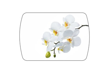 Кухонный стол раздвижной Танго, белый/орхидея в Петрозаводске - предосмотр 3